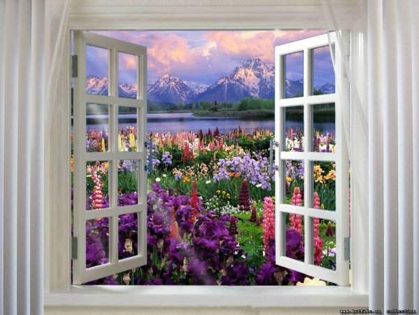 Окно в лето