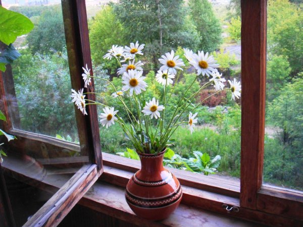 Окно с прекрасным видом