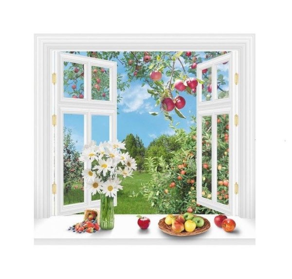 Вид из окна на даче