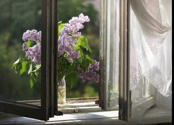 Окно в лето