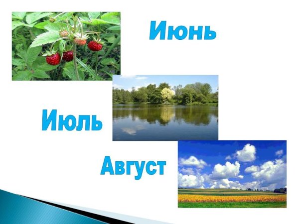 Летние месяцы