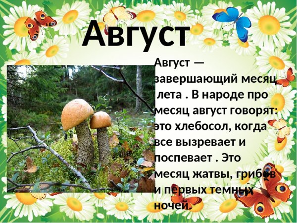 Летние месяцы