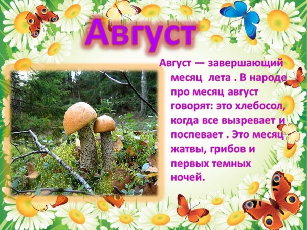 Месяца для детского сада