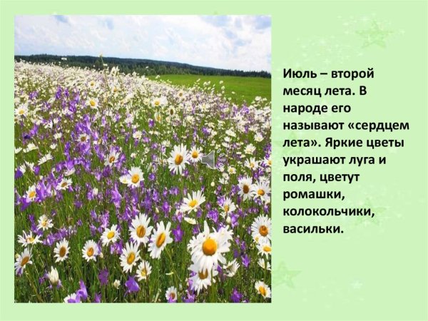 Лето в детском саду