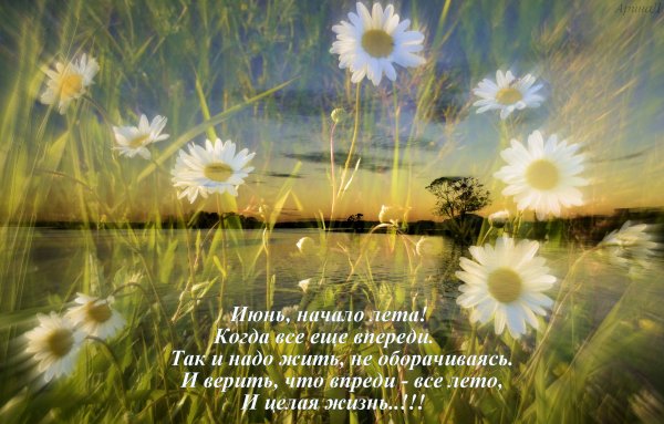 А впереди еще целое лето