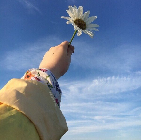 Счастливые дни еще впереди