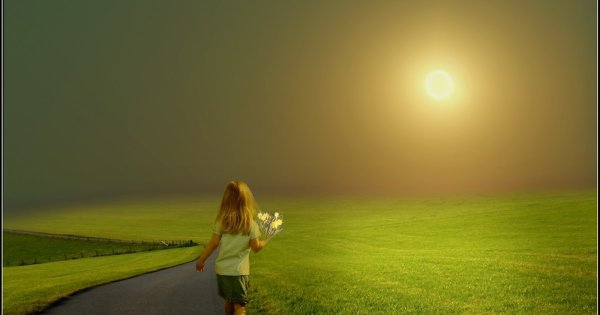 Прекрасное утро летом