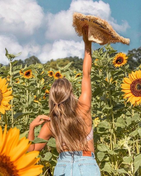 Доброе утро лето