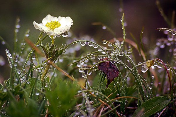 Самый красивый дождь