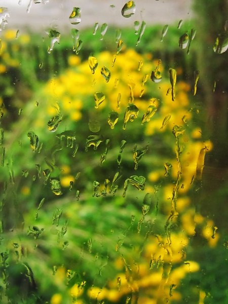 Открытка летний дождь