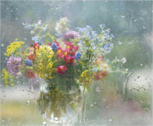 Солнечный дождик