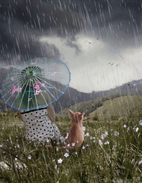 Надежда Барай (Андросюк)