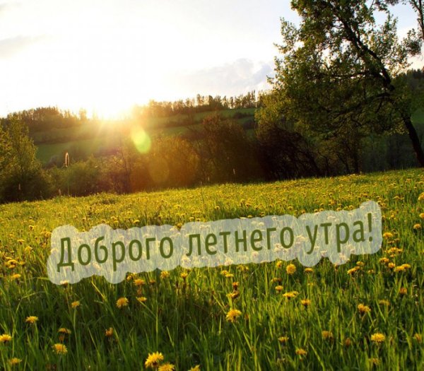 Надпись на песке