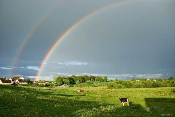 Белорусский пейзаж
