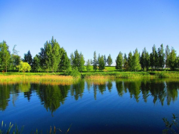 Красивая природа Беларуси