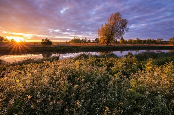 Красивая природа Беларуси фото