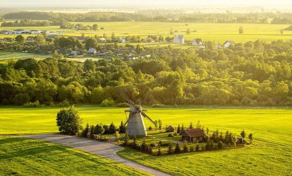 Белоруссия Минск поля