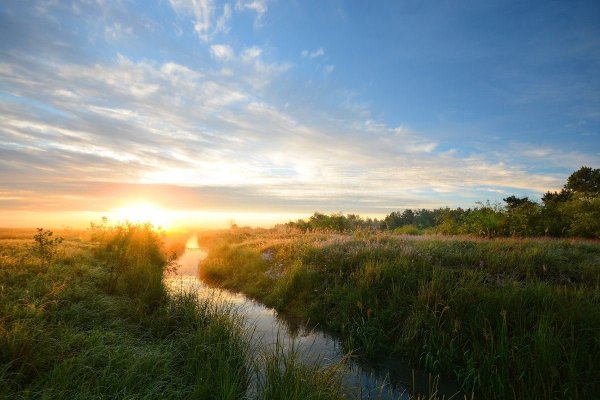Природа белорусского Полесья