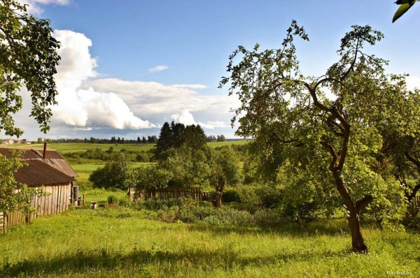 Белоруссия пейзаж Хутор