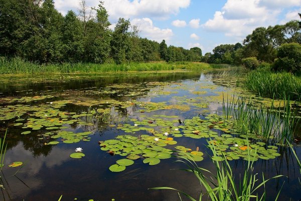 Беларусь природа