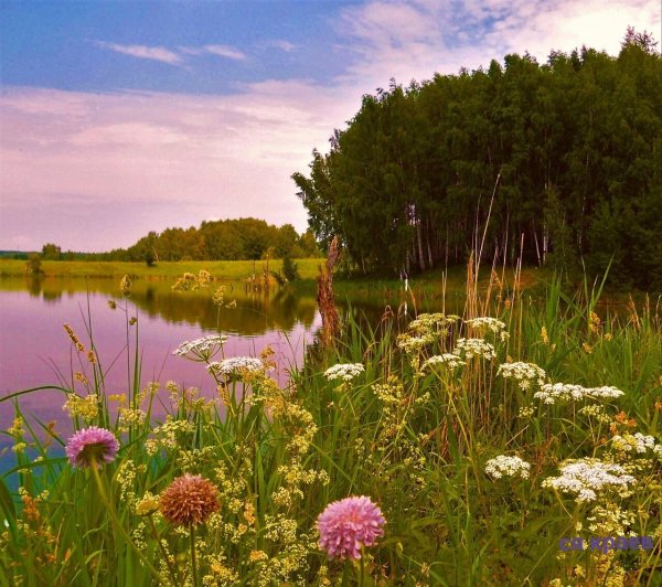 Природа России красивые фото для вдохновения