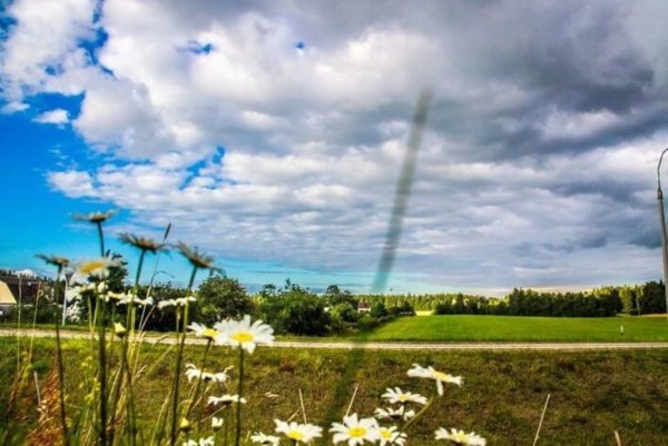 Белорусский климат летом