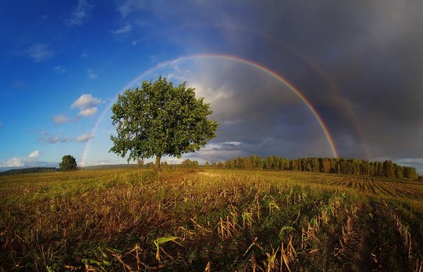 Пейзажи природы Беларуси