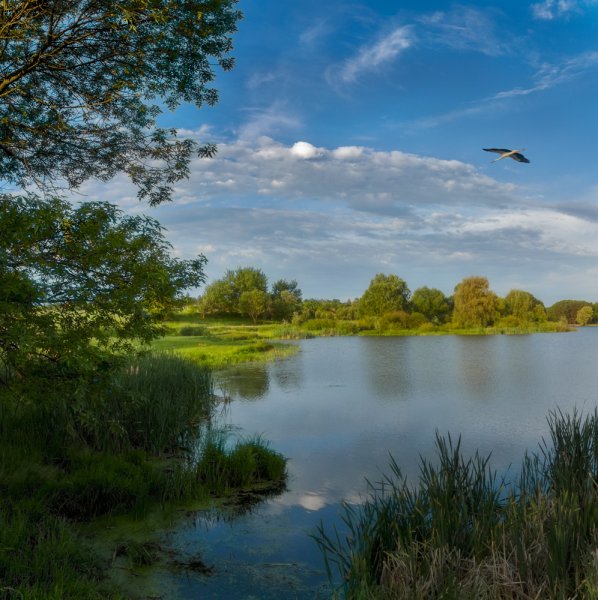 Белорусский пейзаж