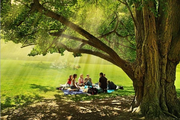 Прогулка на природе