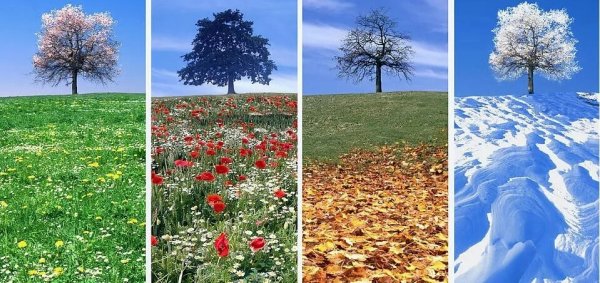 Пейзажи лето осень