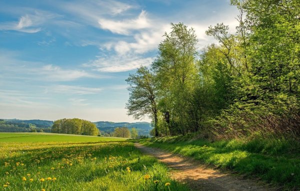 Пейзаж лето