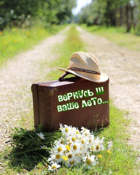 Пакует чемоданы лето