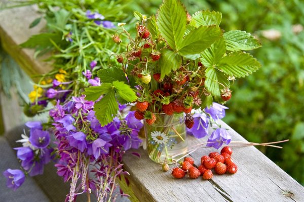 Уходящее лето