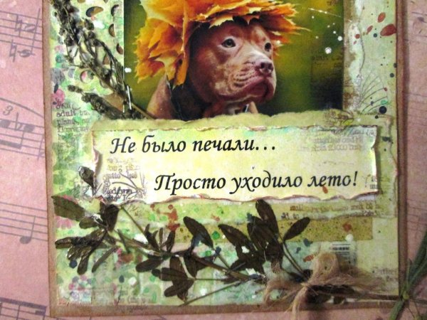 Открытки лето уходит