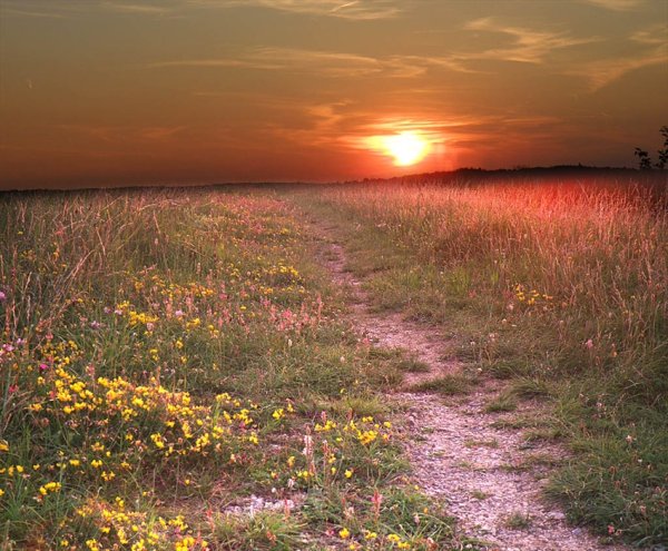 Лето уходит в закат