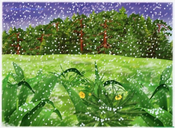 Осенняя Радуга