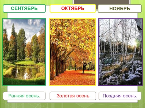 Времена года для дошкольников