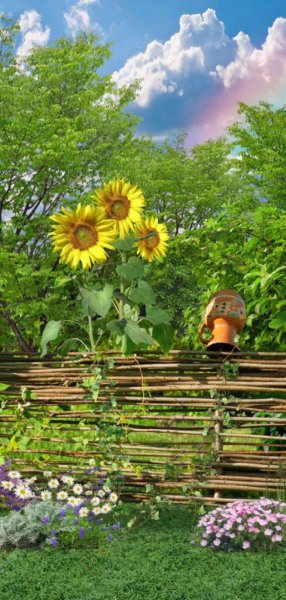 Деревенский домик и Подсолнухи