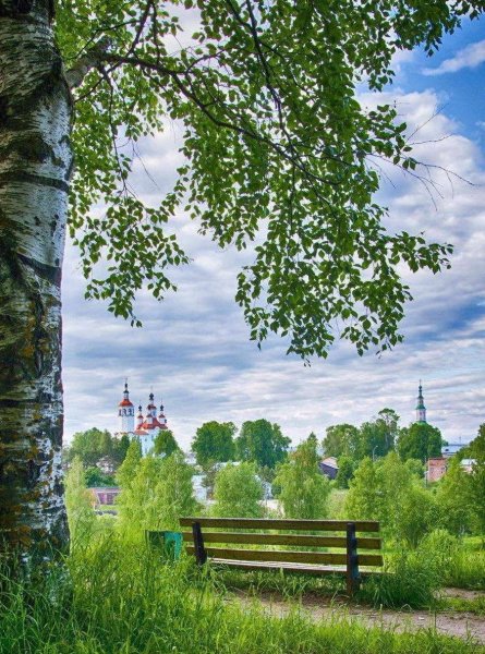 Природа деревня речка Березки