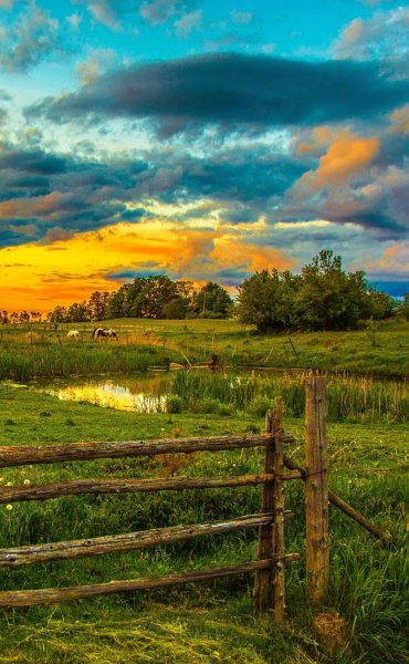 Сельский пейзаж