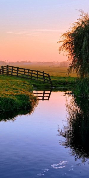 Деревня деревенька Тверская область