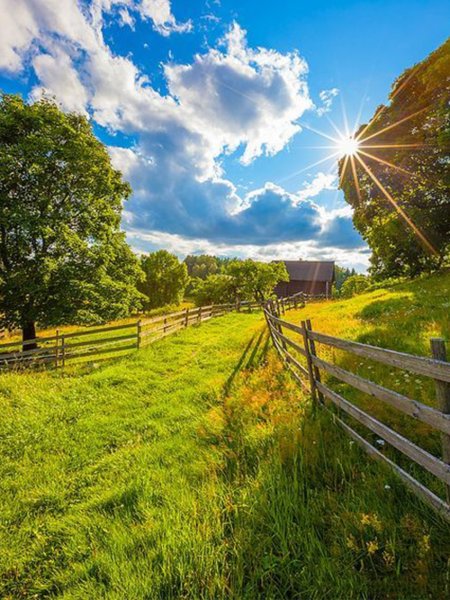 Сельский пейзаж фотографии