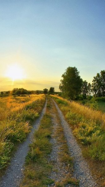 Деревенский домик летом