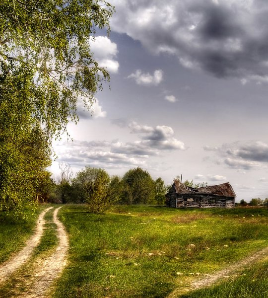 Домик с сиренью в деревне