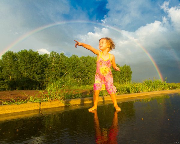 Лето радость