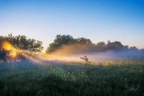 Летний рассвет