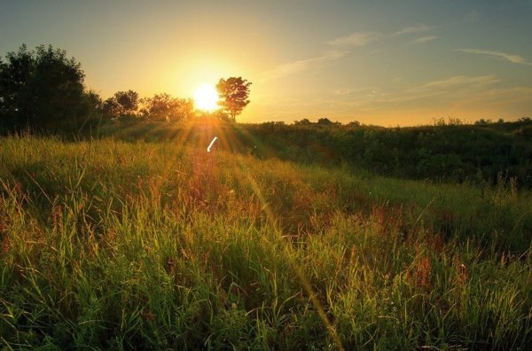 Рассвет летом
