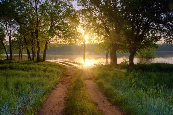 Андрей Олонцев фотограф
