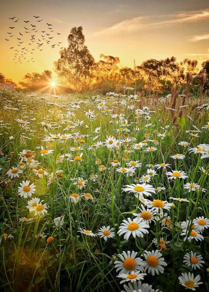 Утренний рассвет