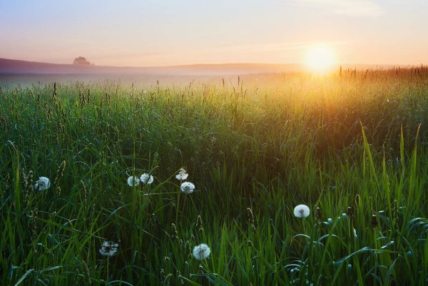 Раннее утро